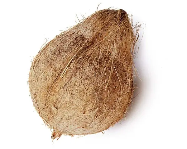 Shreefal